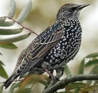 C:\Users\User\Desktop\Без названия (1).jpg